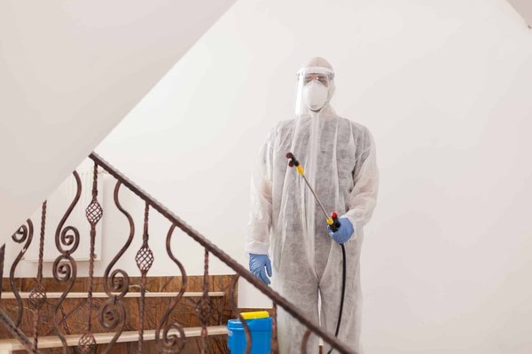 Retirer les logiciels malveillants d'un site WordPress